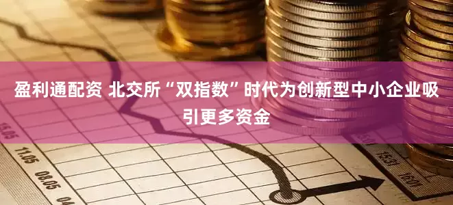 盈利通配资 北交所“双指数”时代为创新型中小企业吸引更多资金