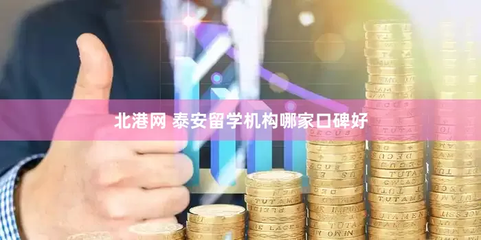 北港网 泰安留学机构哪家口碑好