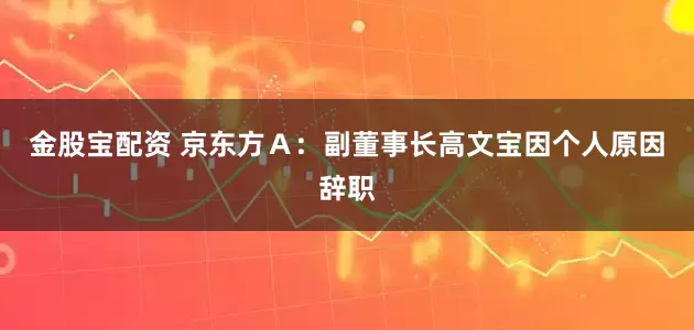 金股宝配资 京东方Ａ：副董事长高文宝因个人原因辞职